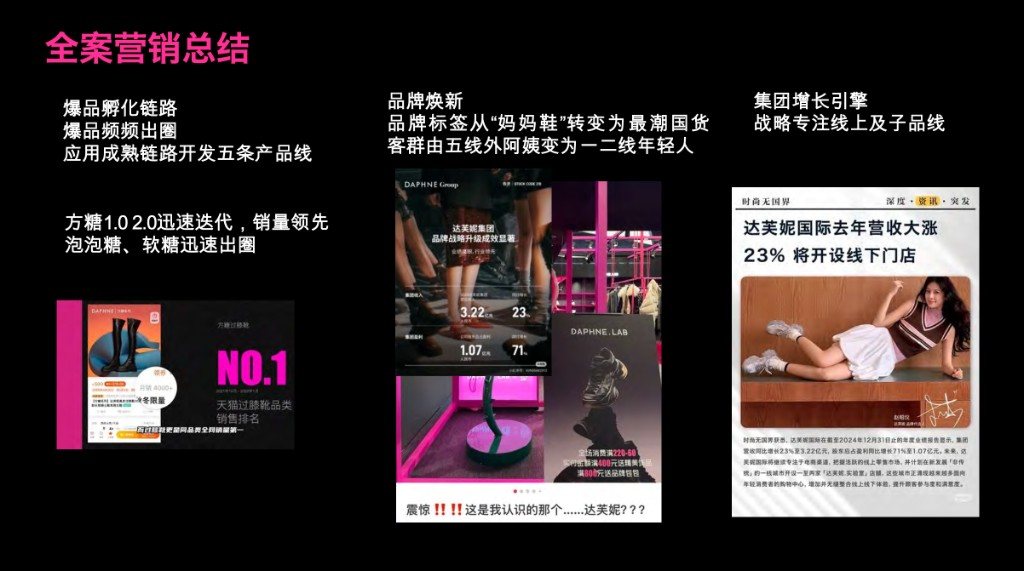 达芙妮实验室全案营销总结页
