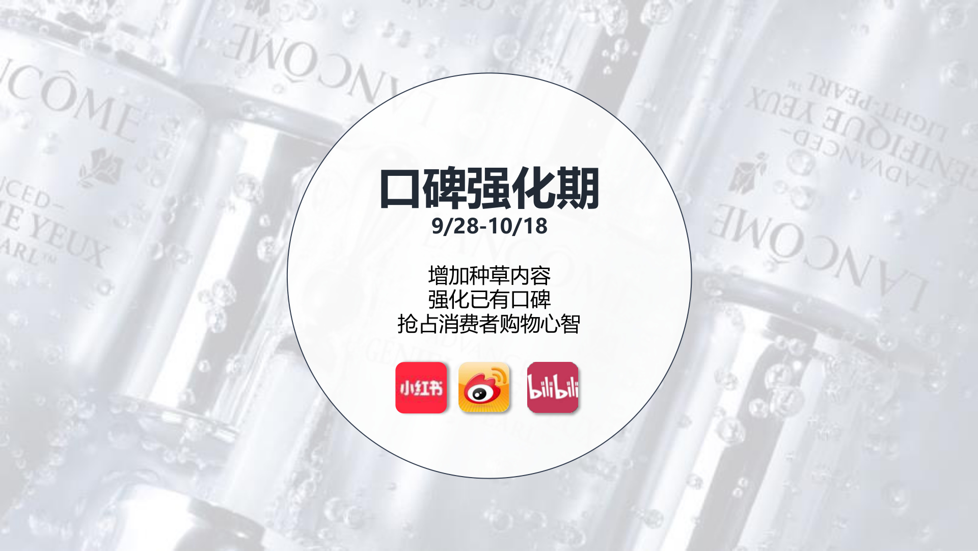 口碑强化期：种草内容与购物心智占位
